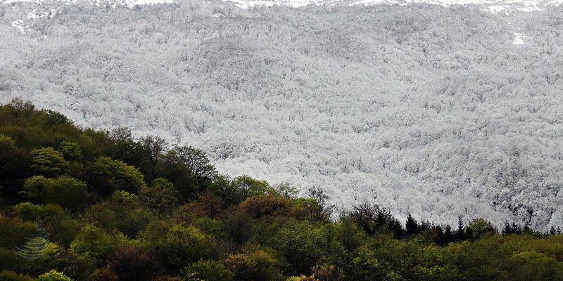 سفر برای آرامش