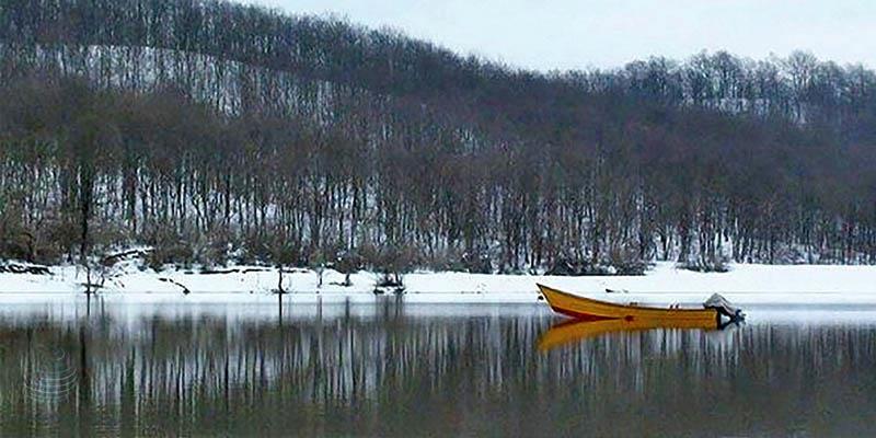 چای زمستانی در بیرون شهر