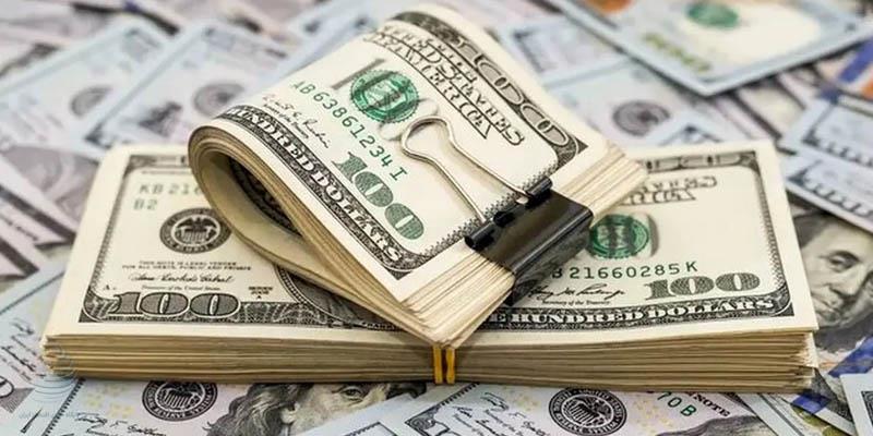 پیش‌بینی پذیر کردن اقتصاد و انتشار آمارهای تخصیص ارز