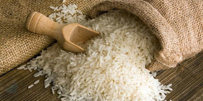 نیازی به واردات برنج نداریم