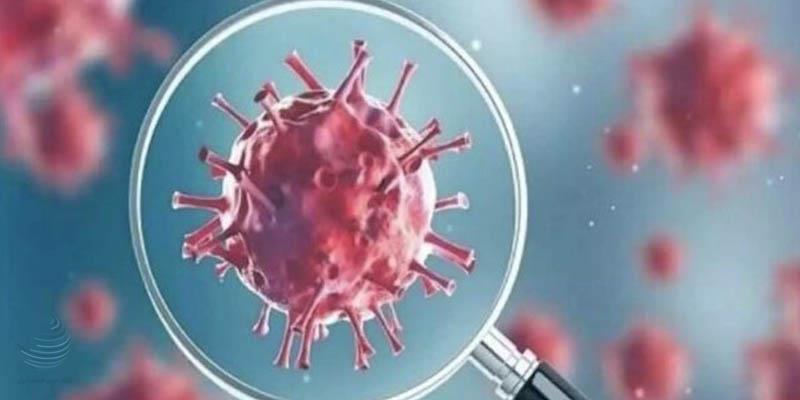 توضیح وزارت بهداشت درباره سویه «سیکادا» کرونا