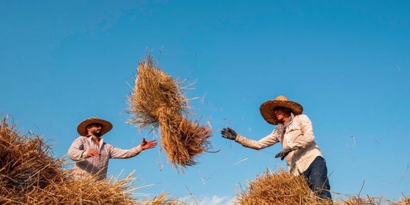 لغو ممنوعیت یا سوءبرداشت؟