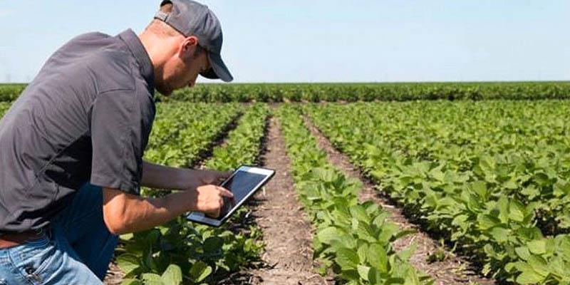جنگ تعرفه‌ای در زمین کشاورزی