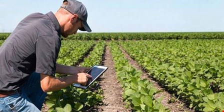 جنگ تعرفه‌ای در زمین کشاورزی