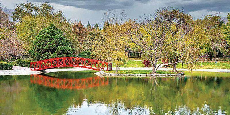 تهرانگردی؛ نفری چند؟