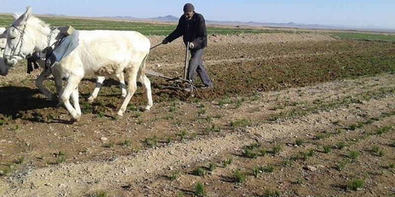 هنوز زندگی در روستا جریان دارد