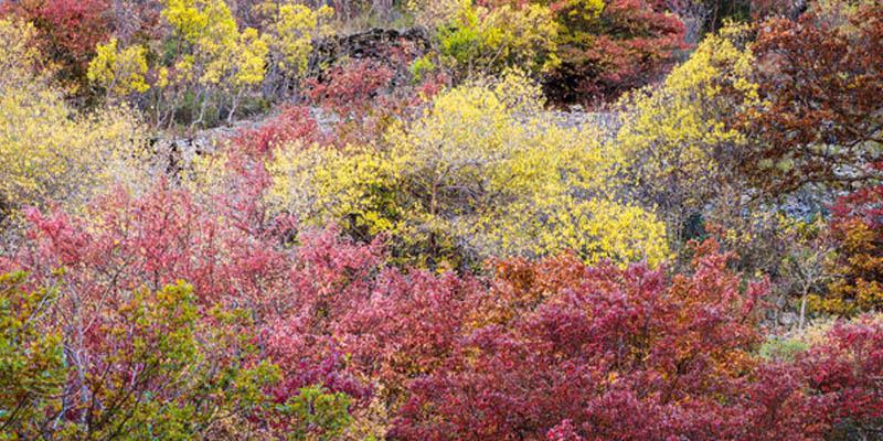 چهار فصل بودن طارم یکی از بزرگترین مزیت‌های گردشگری این شهرستان است