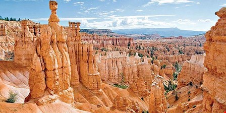مقصد مناسب گردشگران حرفه‌ای